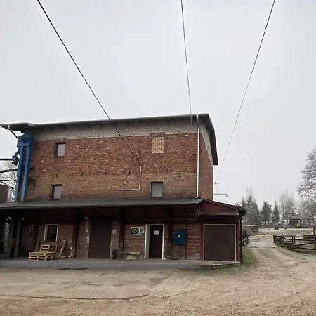 Mlyn Wodny Eko Hillar Feriegård Rybno (Dzialdowo)