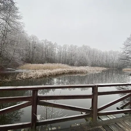 Feriegård Mlyn Wodny Eko Hillar Rybno (Dzialdowo)