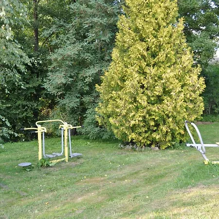 Mlyn Wodny Eko Hillar * Rybno (Dzialdowo)